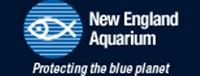 New England Aquarium